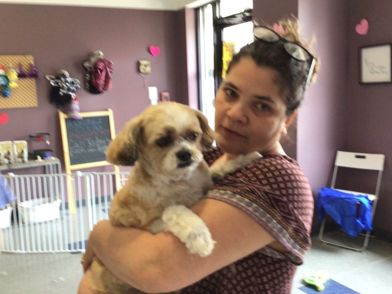 Linda Thornley in her North Providence grooming salon with a small dog