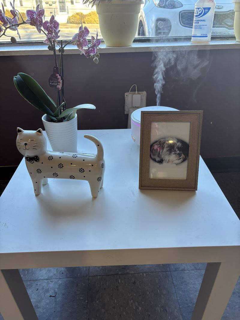 The front waiting area at A Decked Out Pet on Douglas Avenue